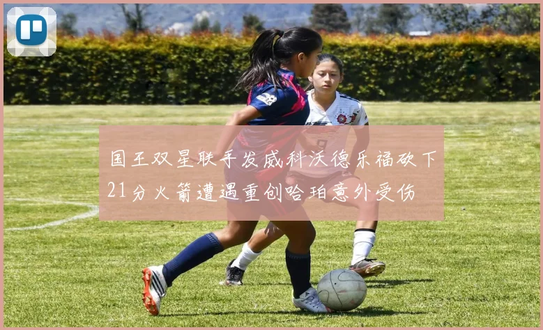 国王双星联手发威科沃德乐福砍下21分火箭遭遇重创哈珀意外受伤