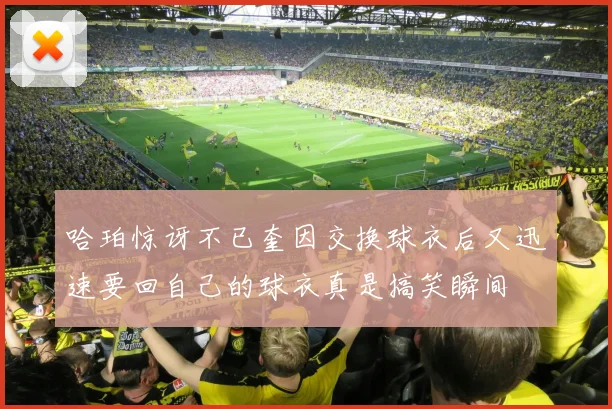 哈珀惊讶不已奎因交换球衣后又迅速要回自己的球衣真是搞笑瞬间
