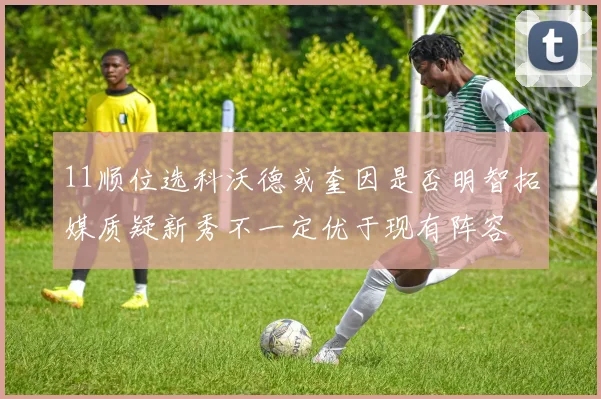 11顺位选科沃德或奎因是否明智拓媒质疑新秀不一定优于现有阵容